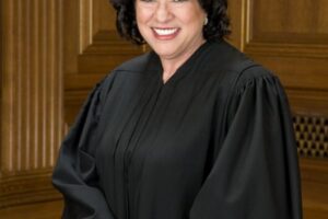Microsoft Antitrust Case Lawyer